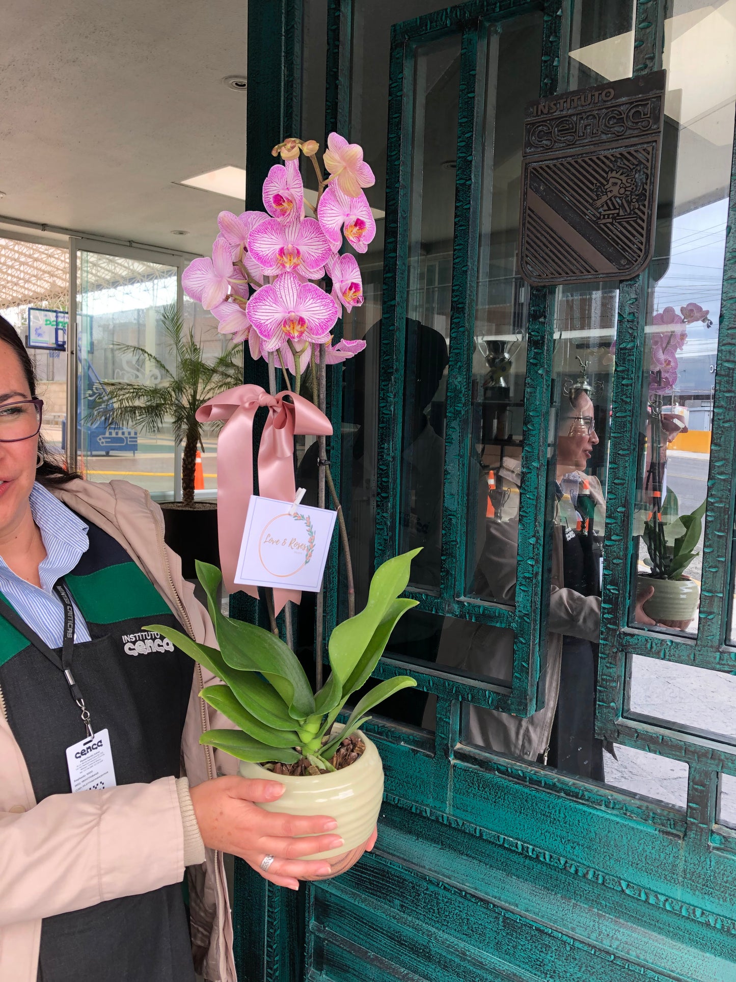 Orquídea 3