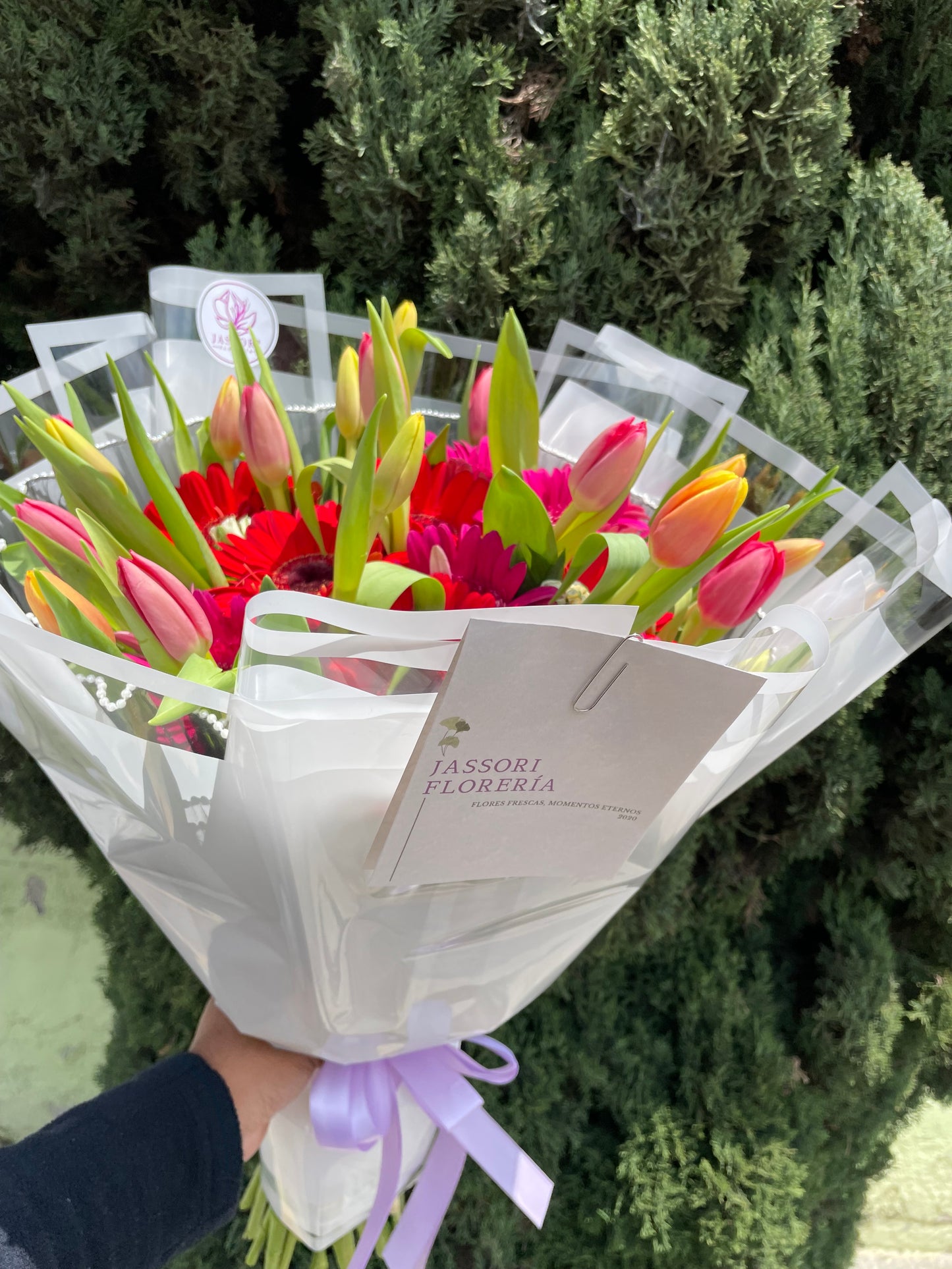 Gerberas y Tulipanes