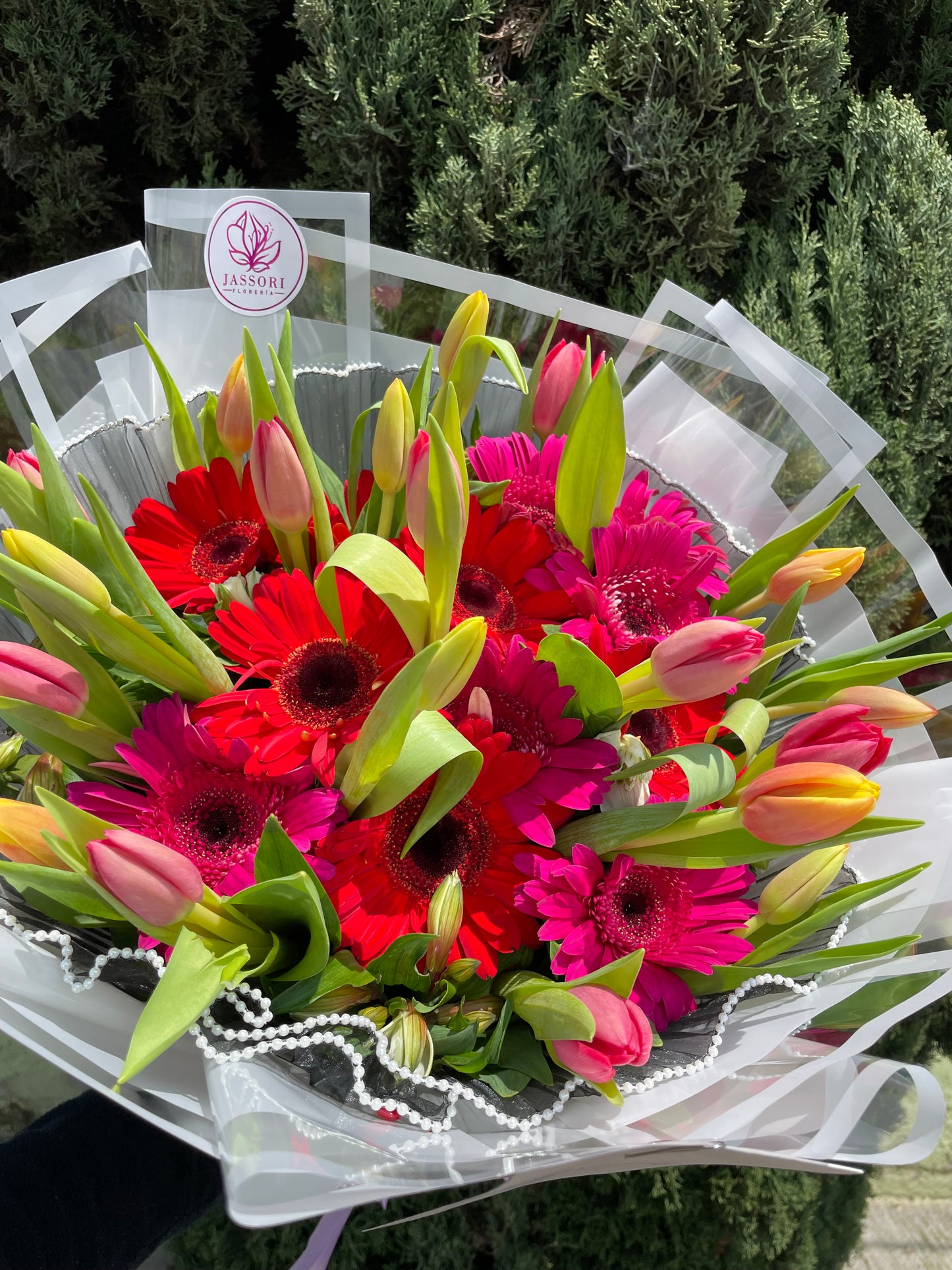 Gerberas y Tulipanes