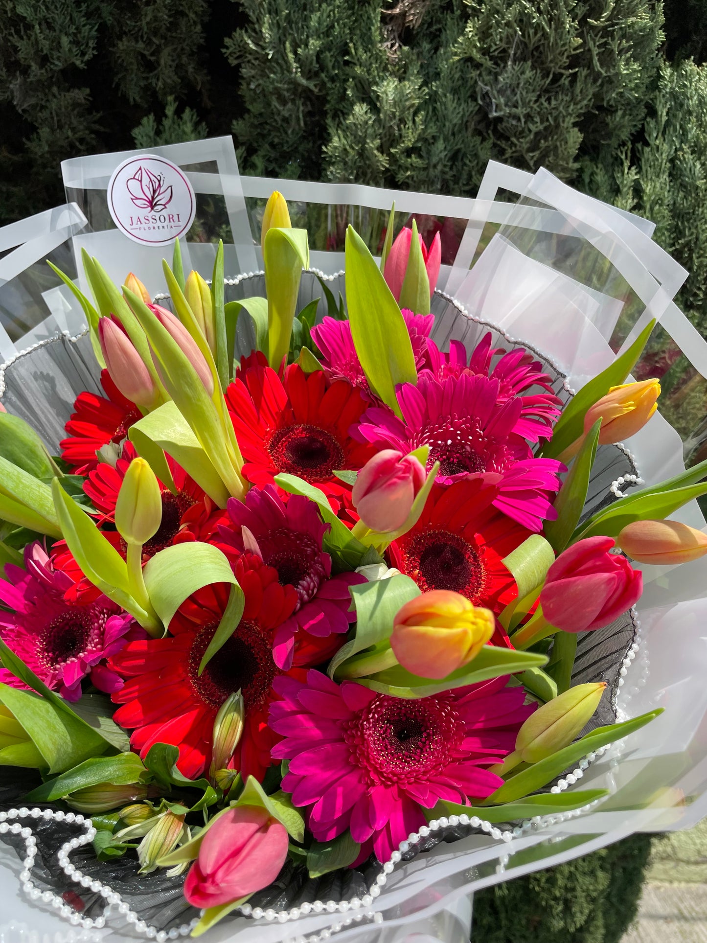 Gerberas y Tulipanes