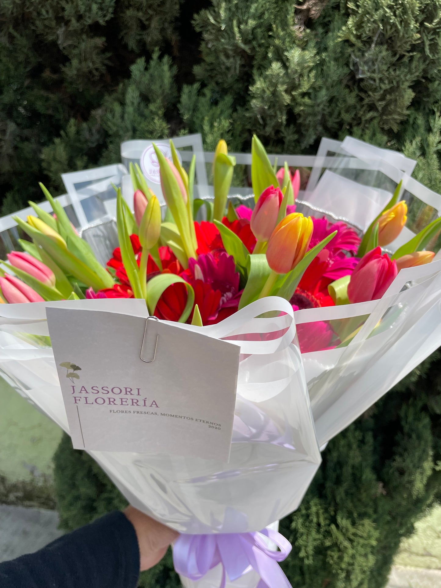 Gerberas y Tulipanes