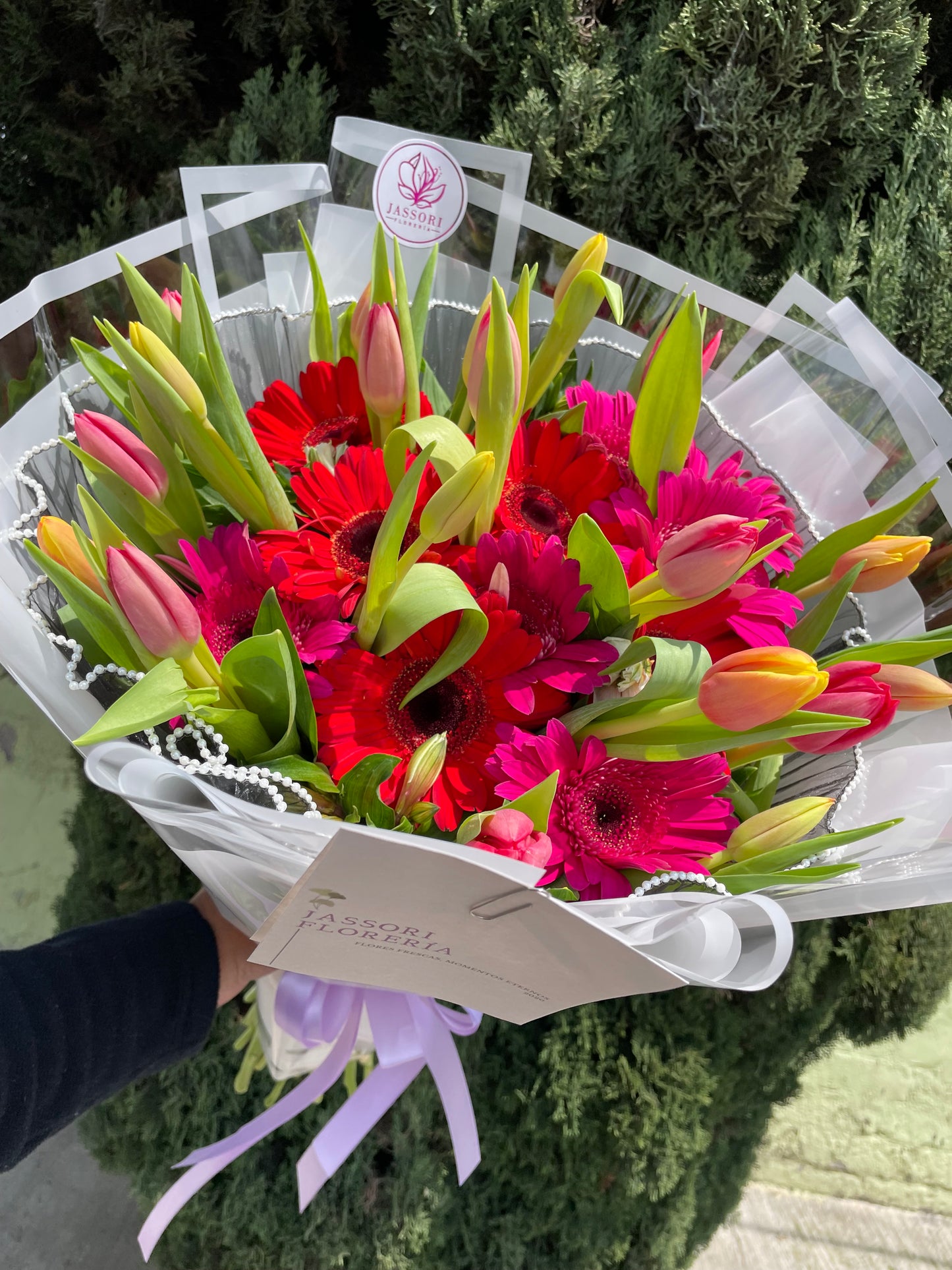 Gerberas y Tulipanes