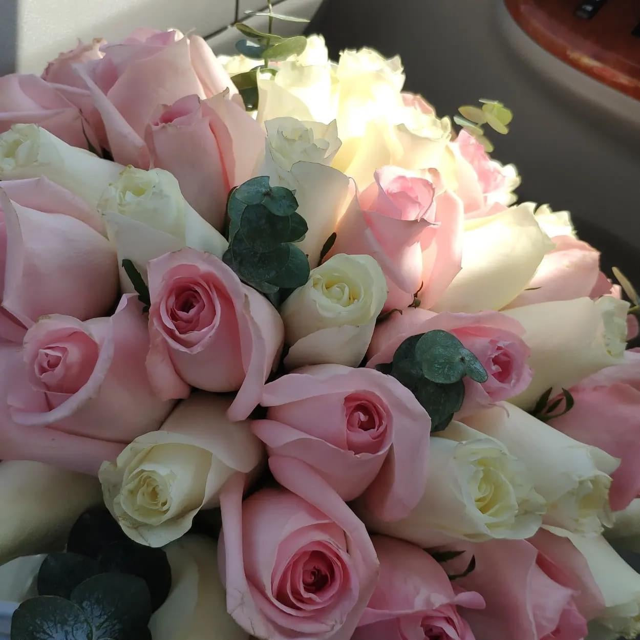 Entre Rosas