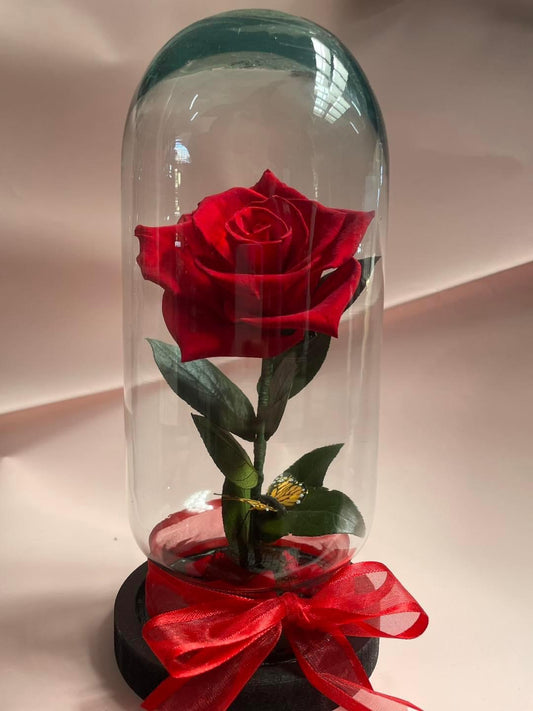 Rosa Eterna
