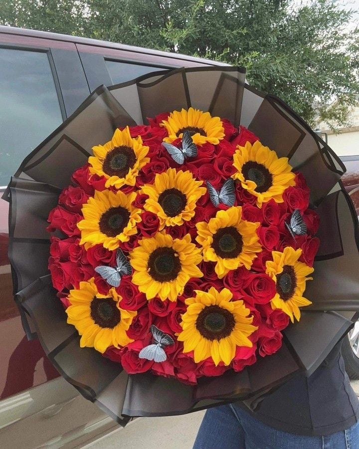 SOL ROJO