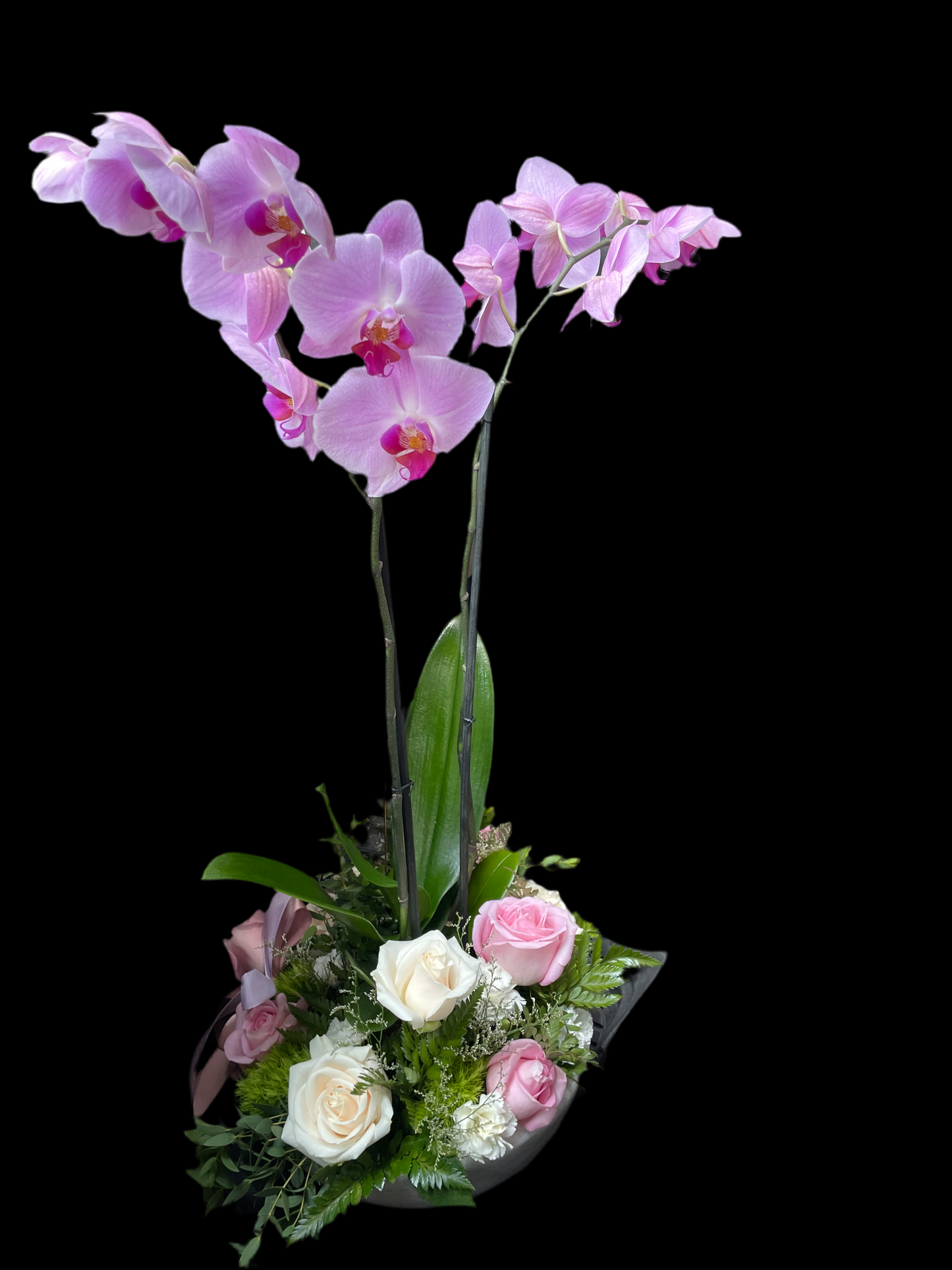 Orquídea con Rosas