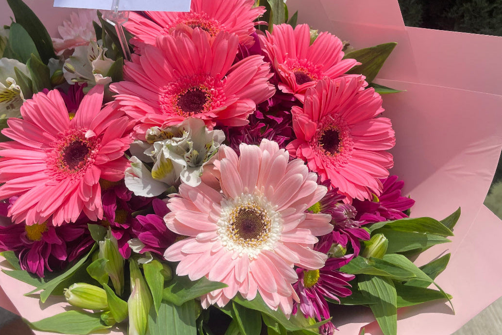 Gerberas de mi corazón