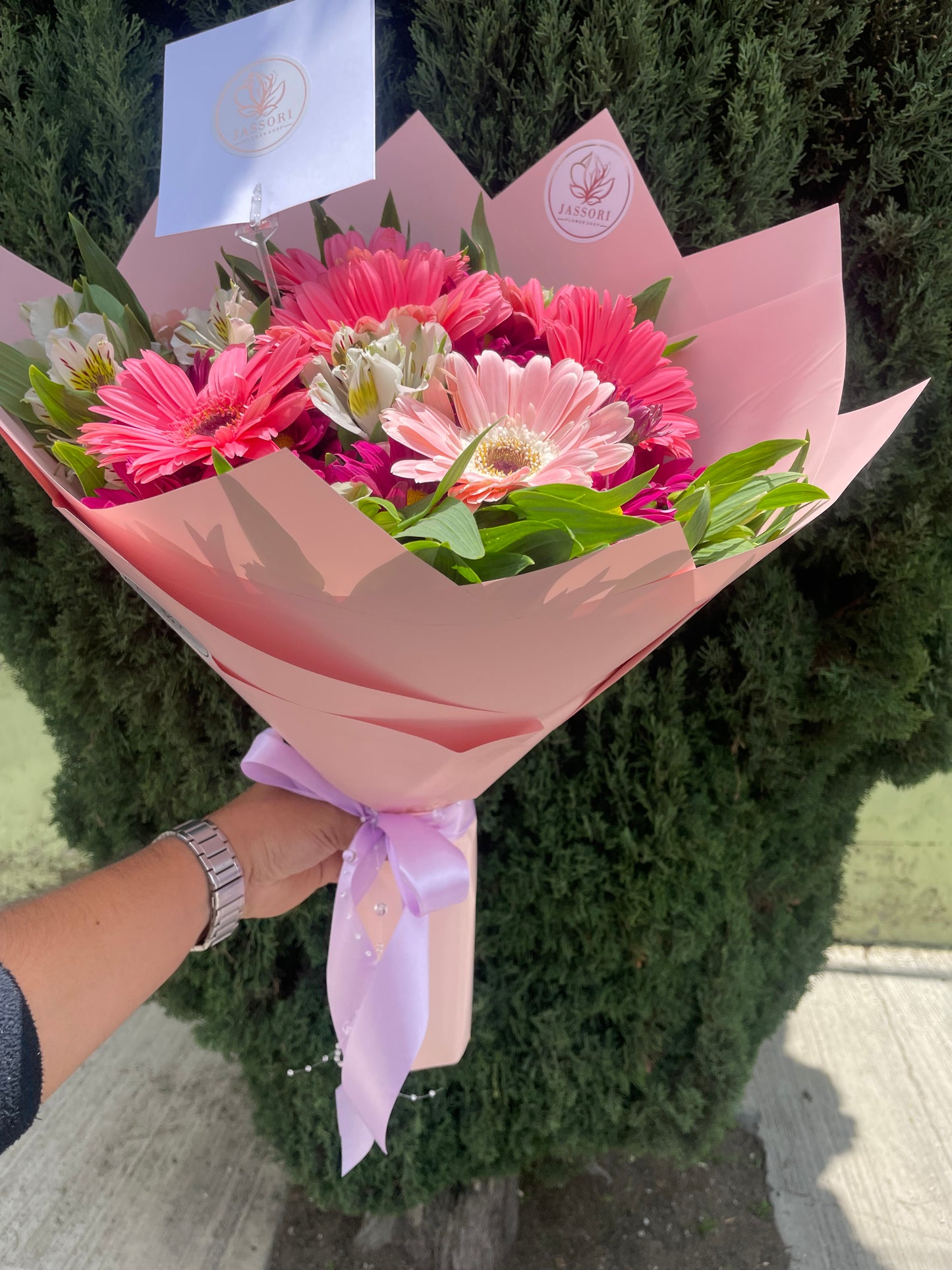 Gerberas de mi corazón