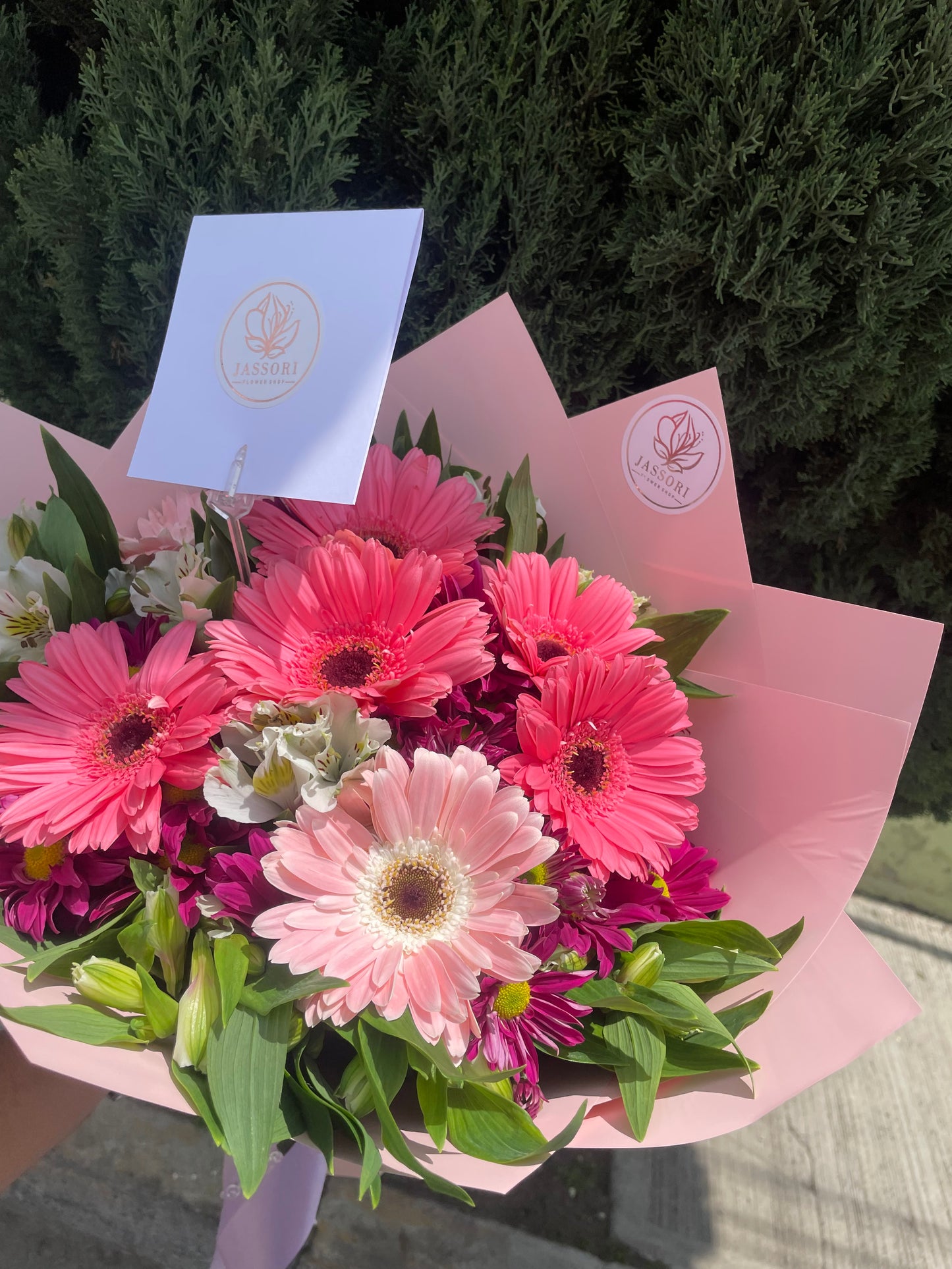Gerberas de mi corazón